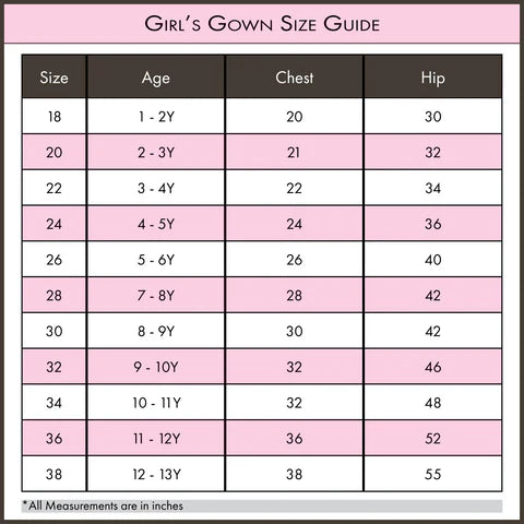 Red Floral Banarasi Gown with Zari Work - Mamadada