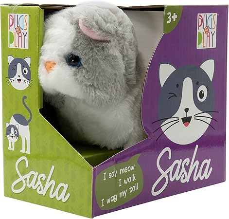 SASHA CAT