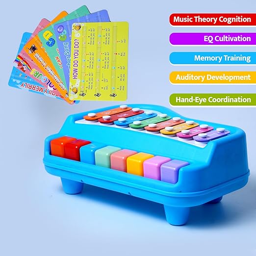 CE321 MELODY XYLOPIANO.12