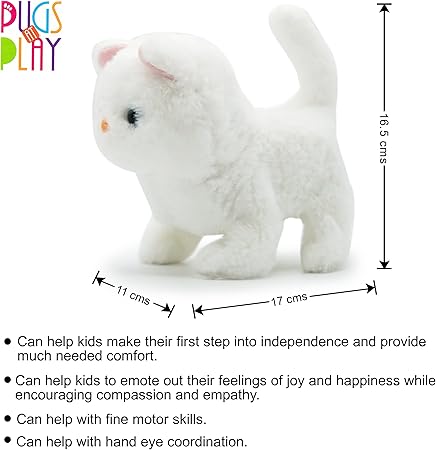 CASPER CAT