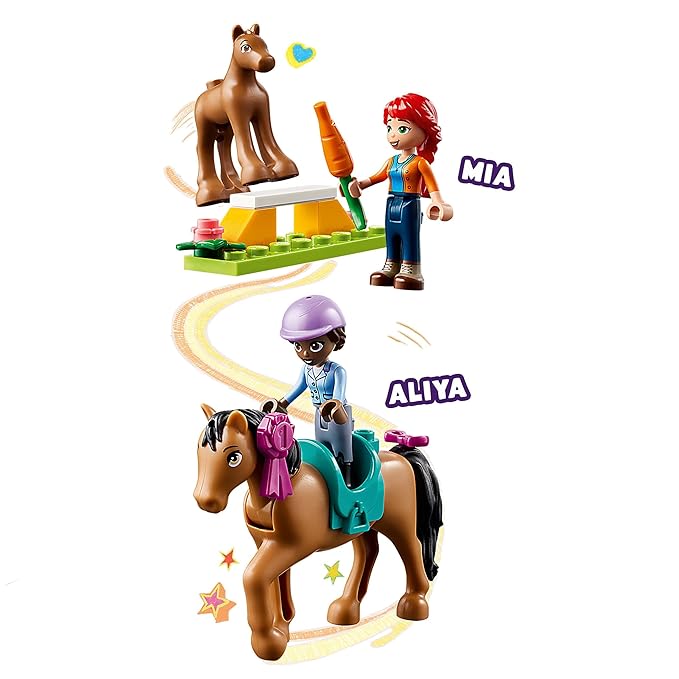 41746 HORSE TRAINING