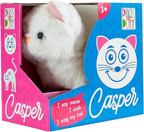 CASPER CAT