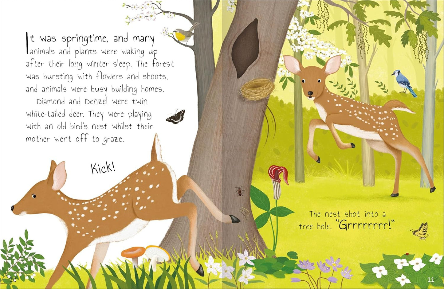 TALES FROM THE FOREST