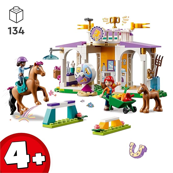 41746 HORSE TRAINING
