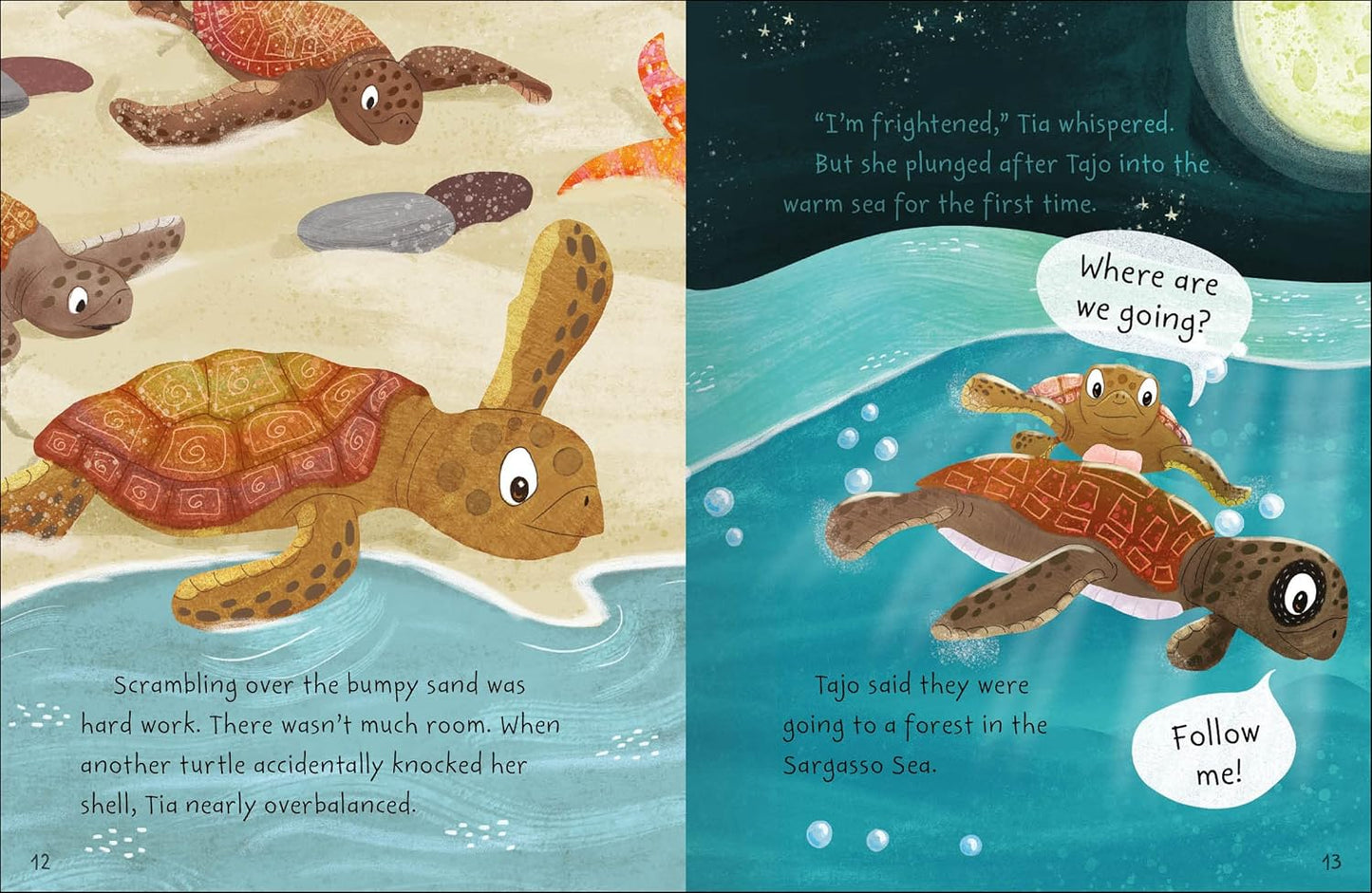 STORIES FROM THE SEA