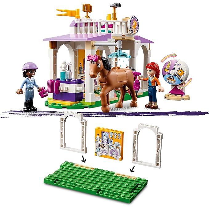 41746 HORSE TRAINING
