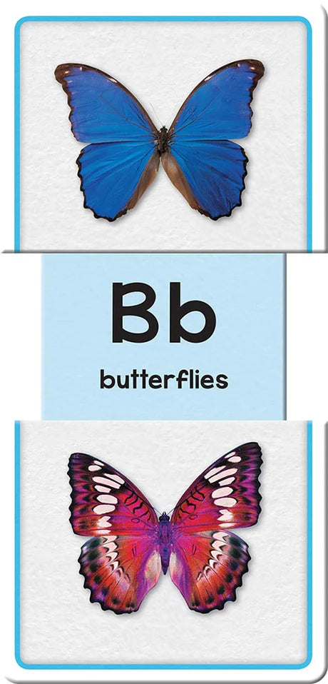 FLASH CARDS:ALPHABET - Mamadada