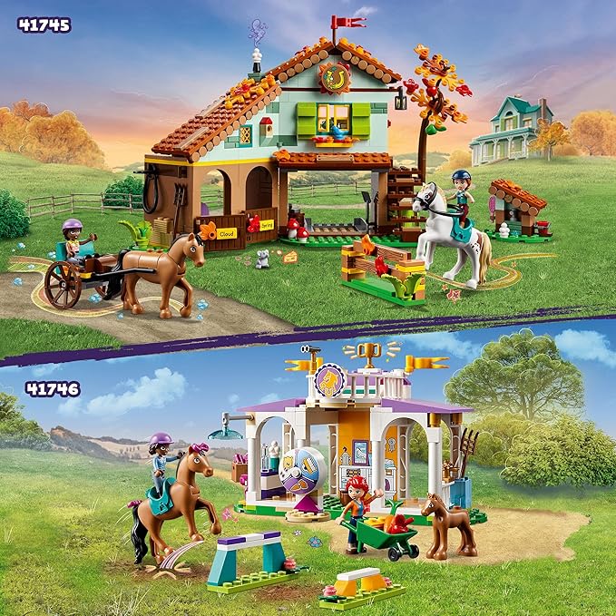 41746 HORSE TRAINING