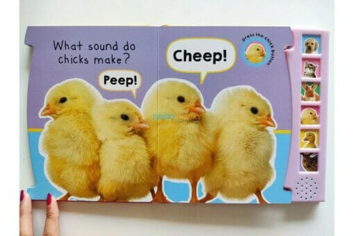 Shree books Animal Babies Sound Book- Interactive Fun for Little Learners