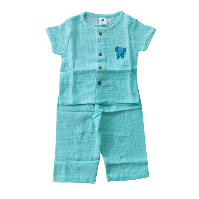 LH -MINT MUSLIN SET