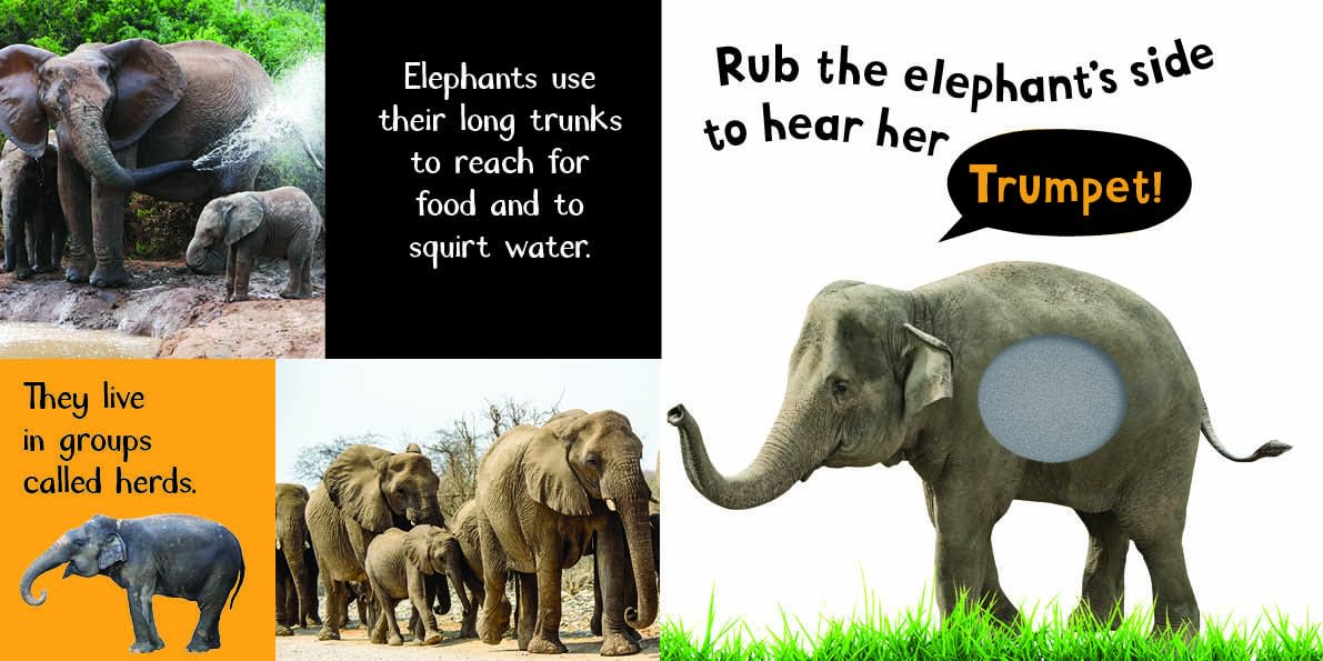 RBC-TOUCH & FEEL; NOISY ANIMALS - Mamadada