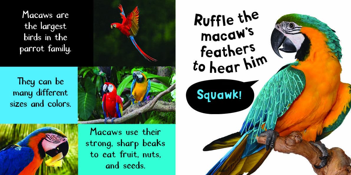 RBC-TOUCH & FEEL; NOISY ANIMALS - Mamadada