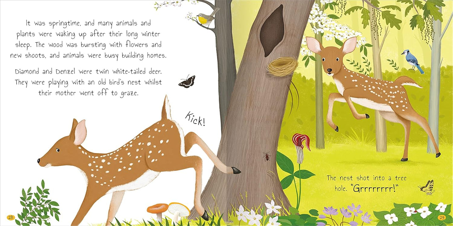 Tales of the Woodland - Shree Books