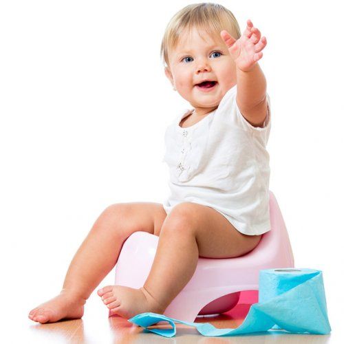 Potty seat
