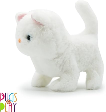 CASPER CAT