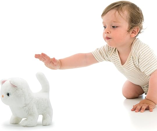 CASPER CAT