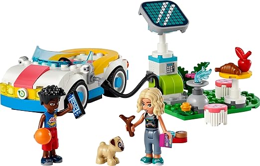 42609 ELECTRIC CAR & CHARGER