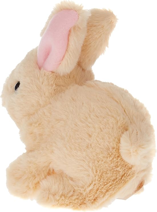 COOKIE RABBIT