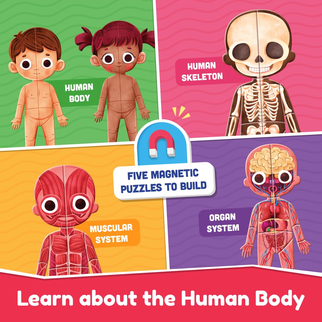 LD MY SUPER HUMAN BODY