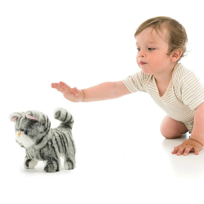 E FB ZOE WALKING CAT