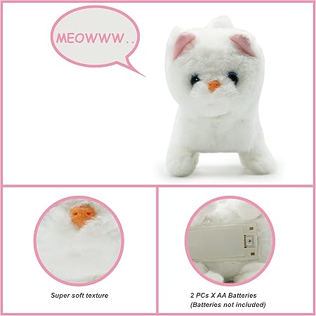 CASPER CAT