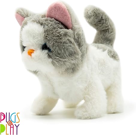 SASHA CAT
