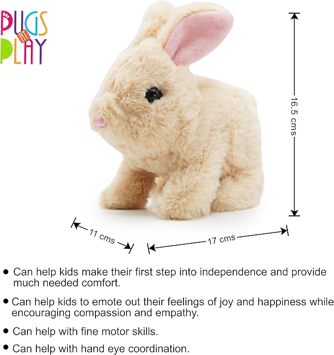 COOKIE RABBIT