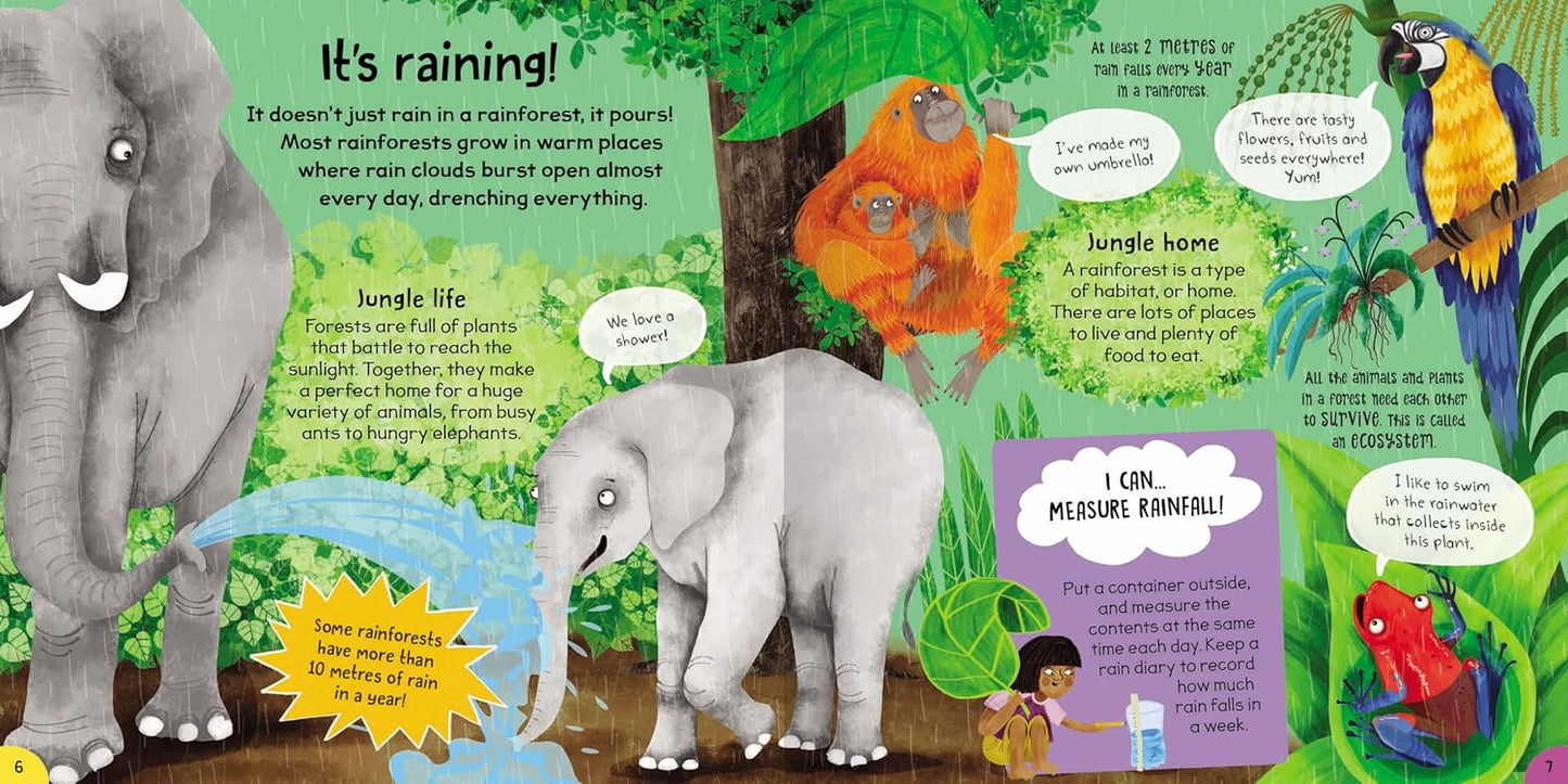 FIRST RAINFOREST BOOK