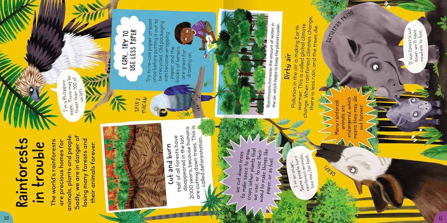 FIRST RAINFOREST BOOK