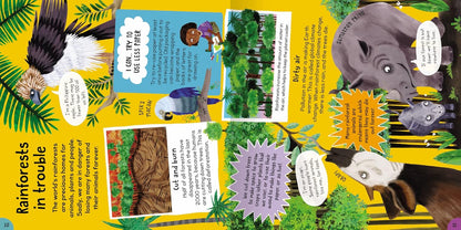 FIRST RAINFOREST BOOK