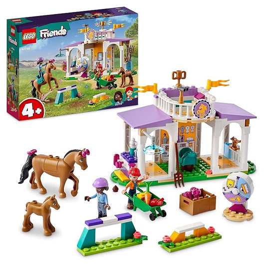 41746 HORSE TRAINING