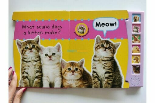 Shree books Animal Babies Sound Book- Interactive Fun for Little Learners