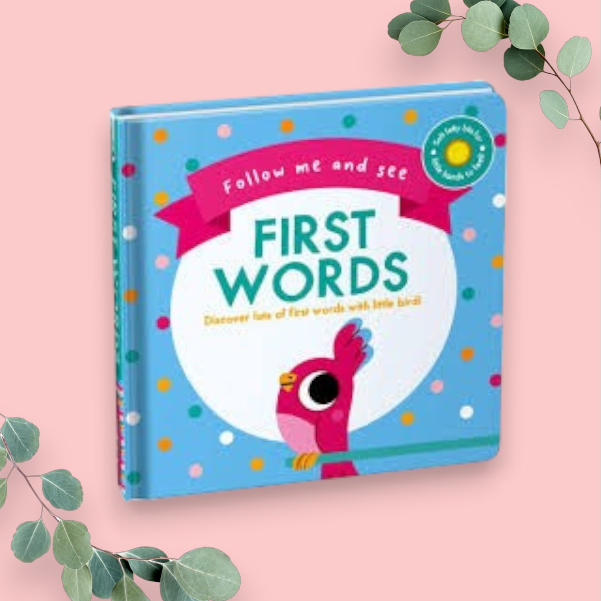 FOLLOW ME&SEE:1ST WORDS - Mamadada