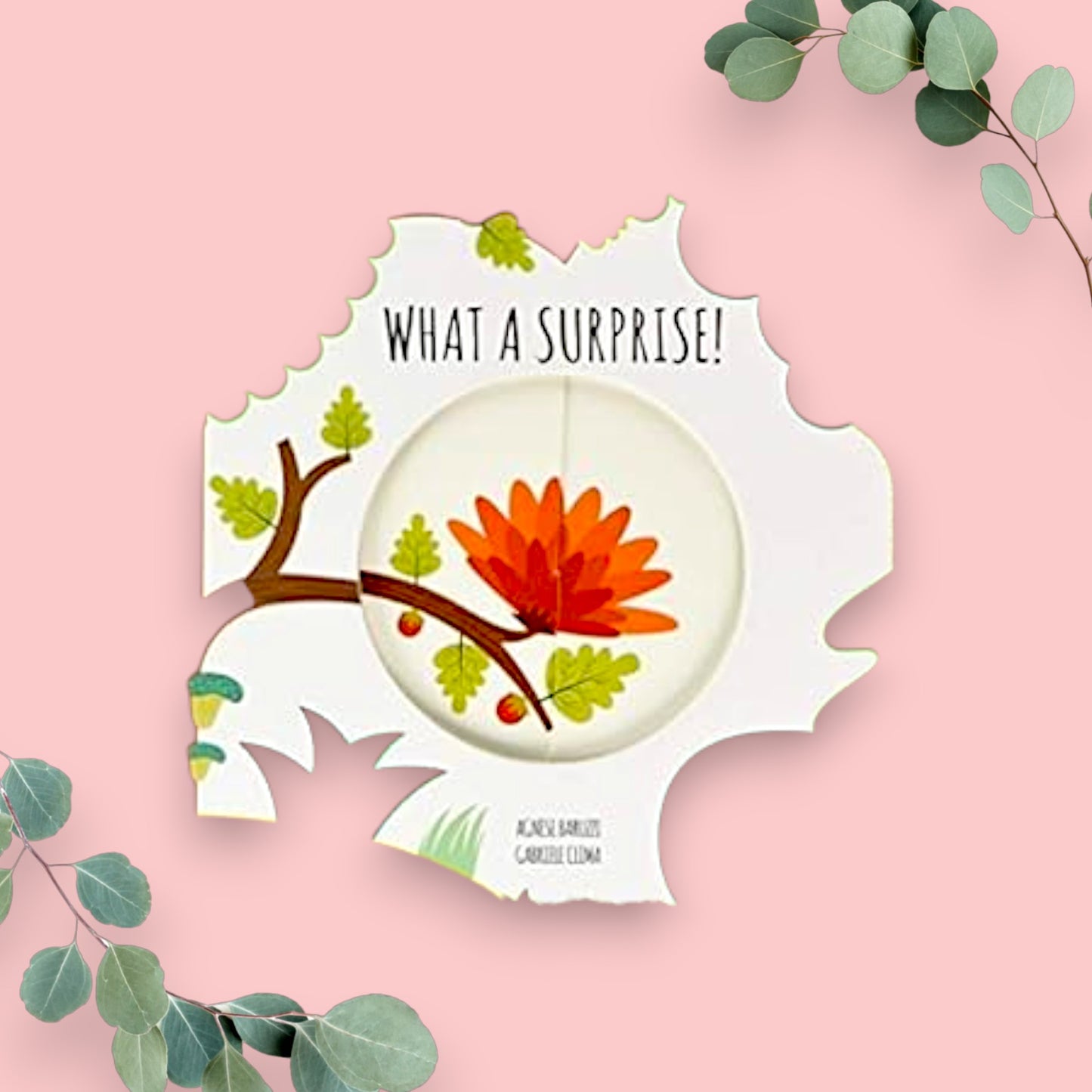 MAGIC WHEELS;WHAT A SURPRISE! - Mamadada