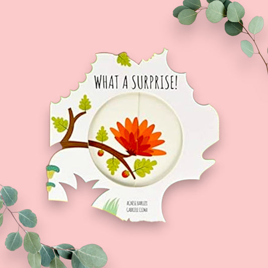 MAGIC WHEELS;WHAT A SURPRISE! - Mamadada