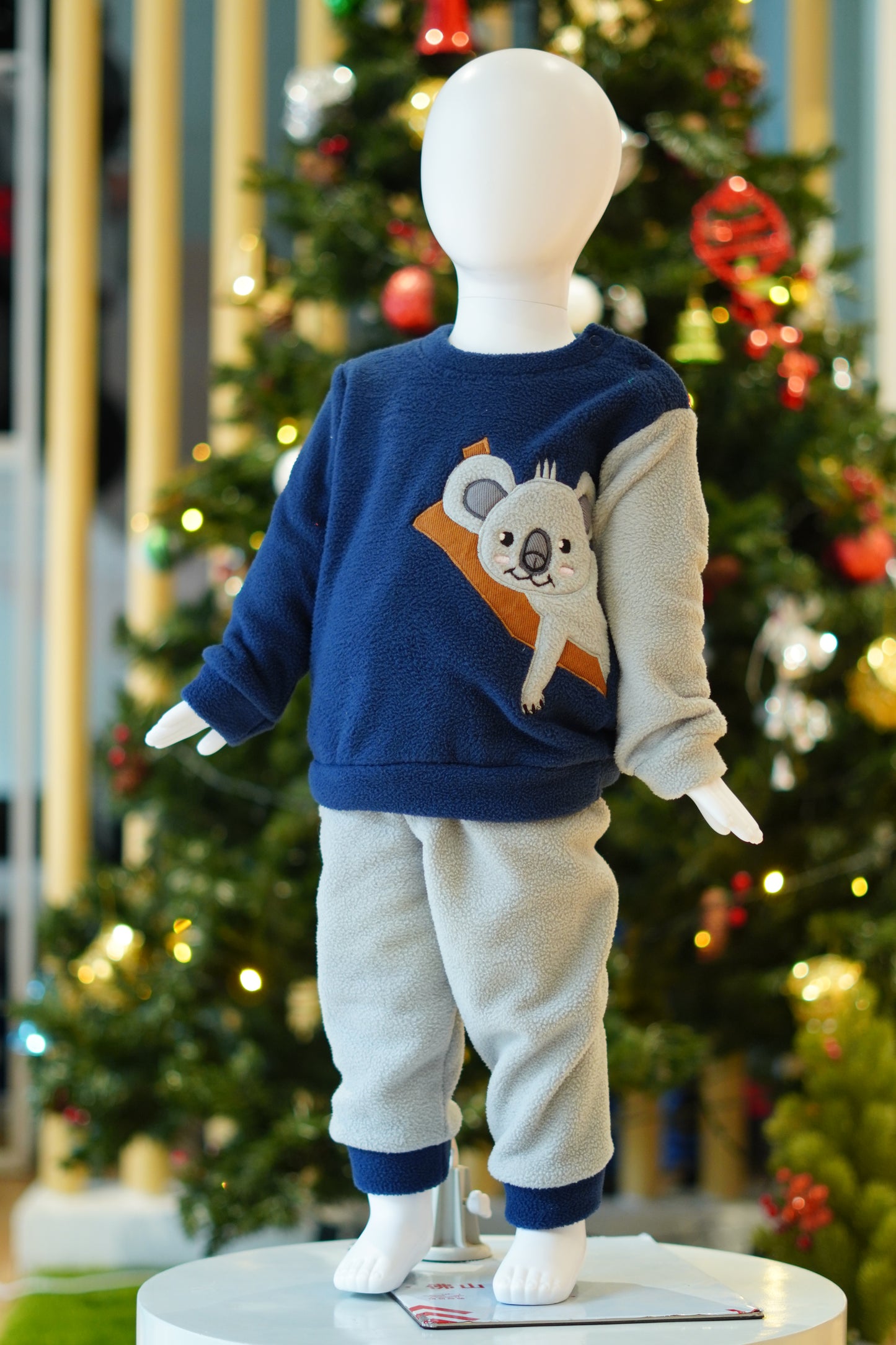 Winter Wear Rat Blue Fs P Suit-4263