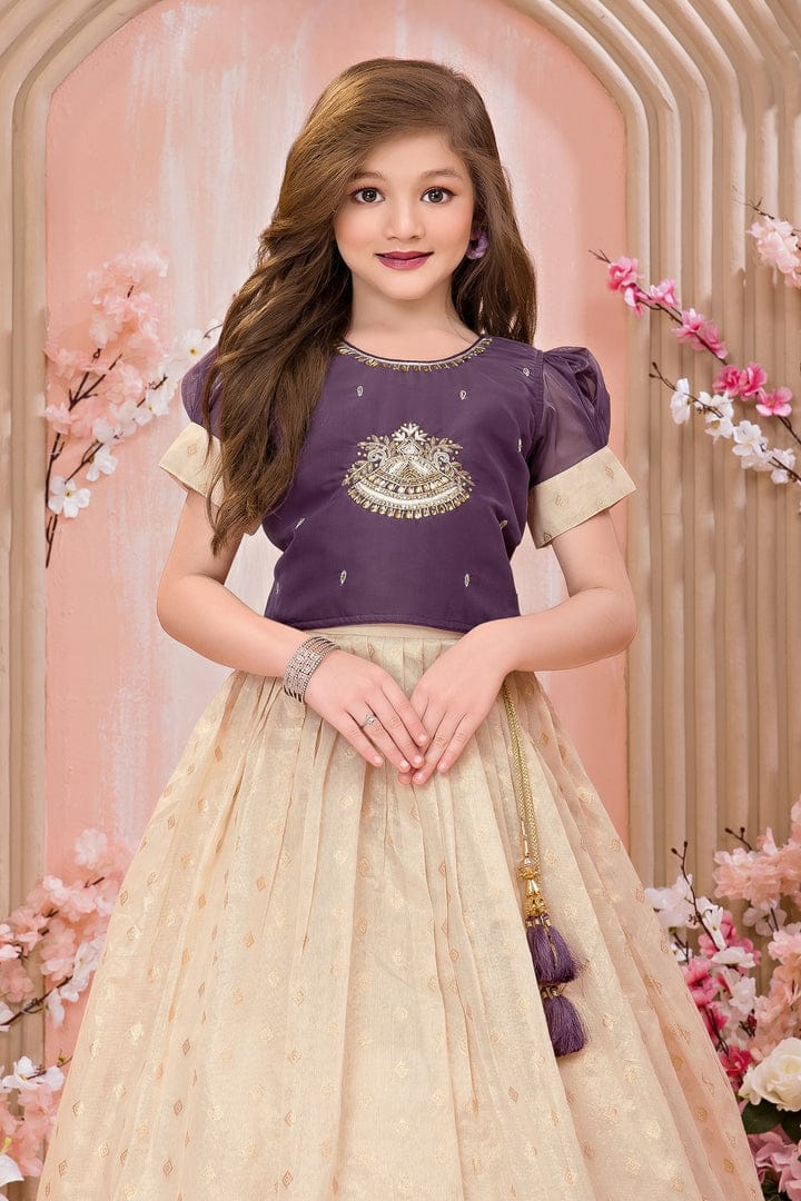 Purple Embroidered Blouse with Beige Silk Gown - Mamadada