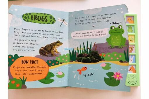 Shree Books - Noisy Garden Sound book Little Wonders