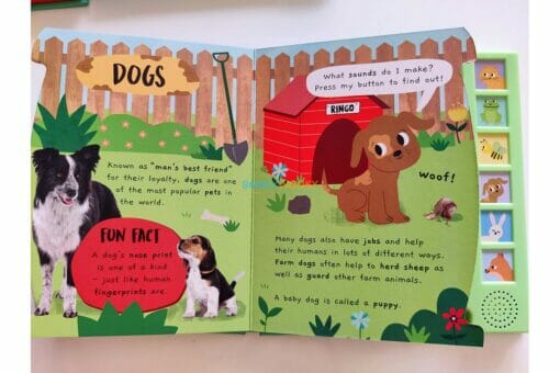 Shree Books - Noisy Garden Sound book Little Wonders