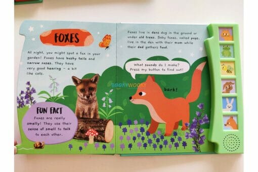 Shree Books - Noisy Garden Sound book Little Wonders
