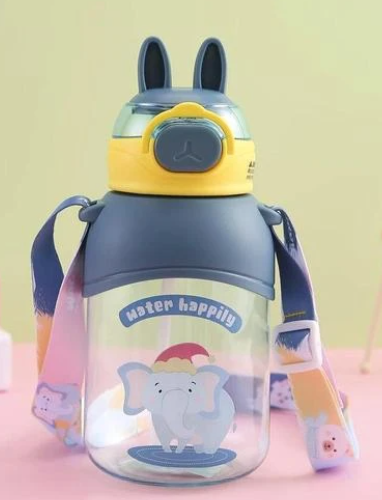 Water Bottle 650 ML