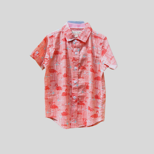 JASH-8700 PEACH H/SHIRT