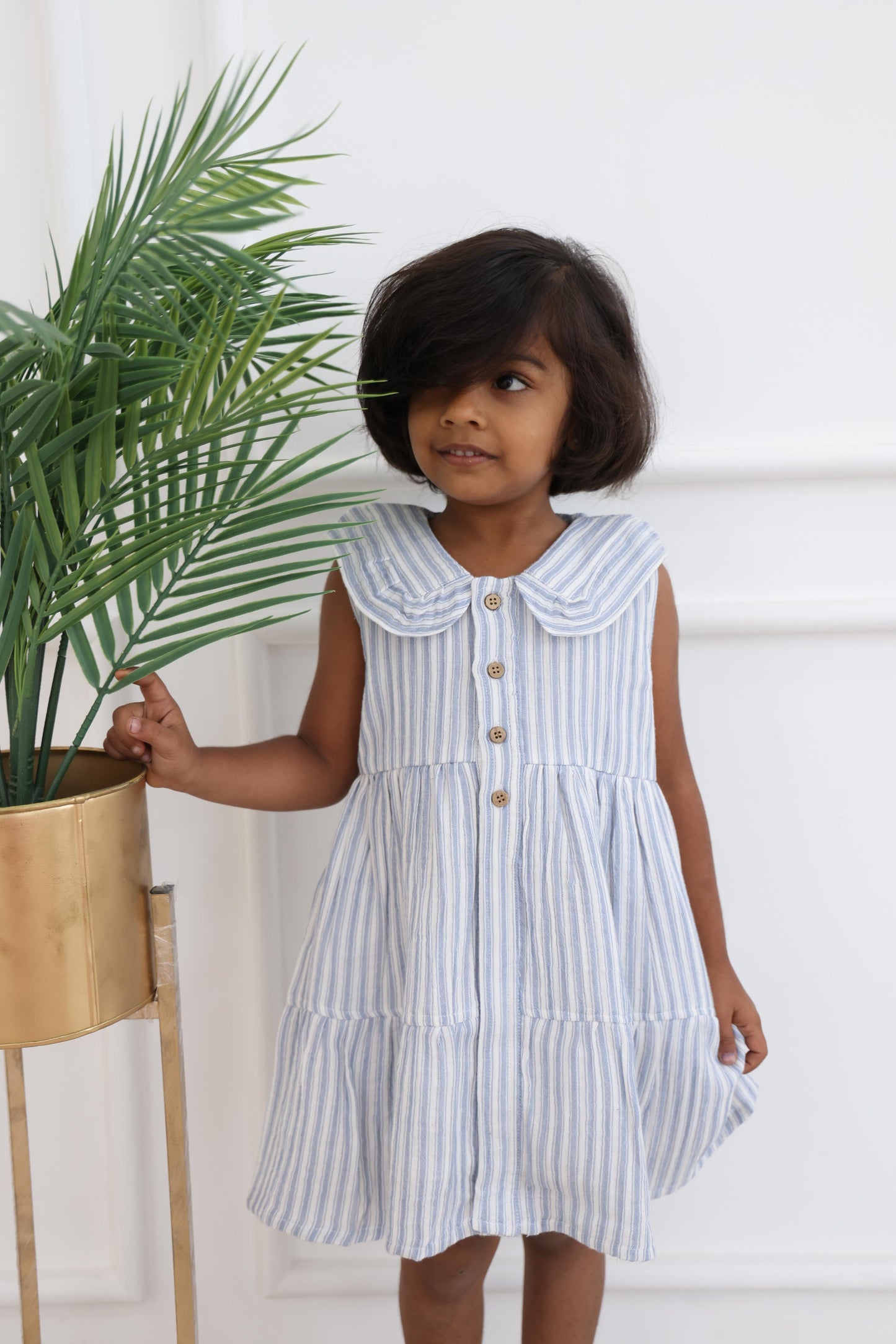 TIINY-BLUE STRIPES COLLAR
