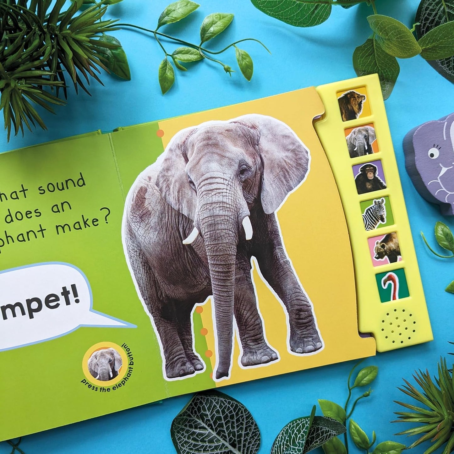In the Wild an Animal Sounds Books - Shree Books