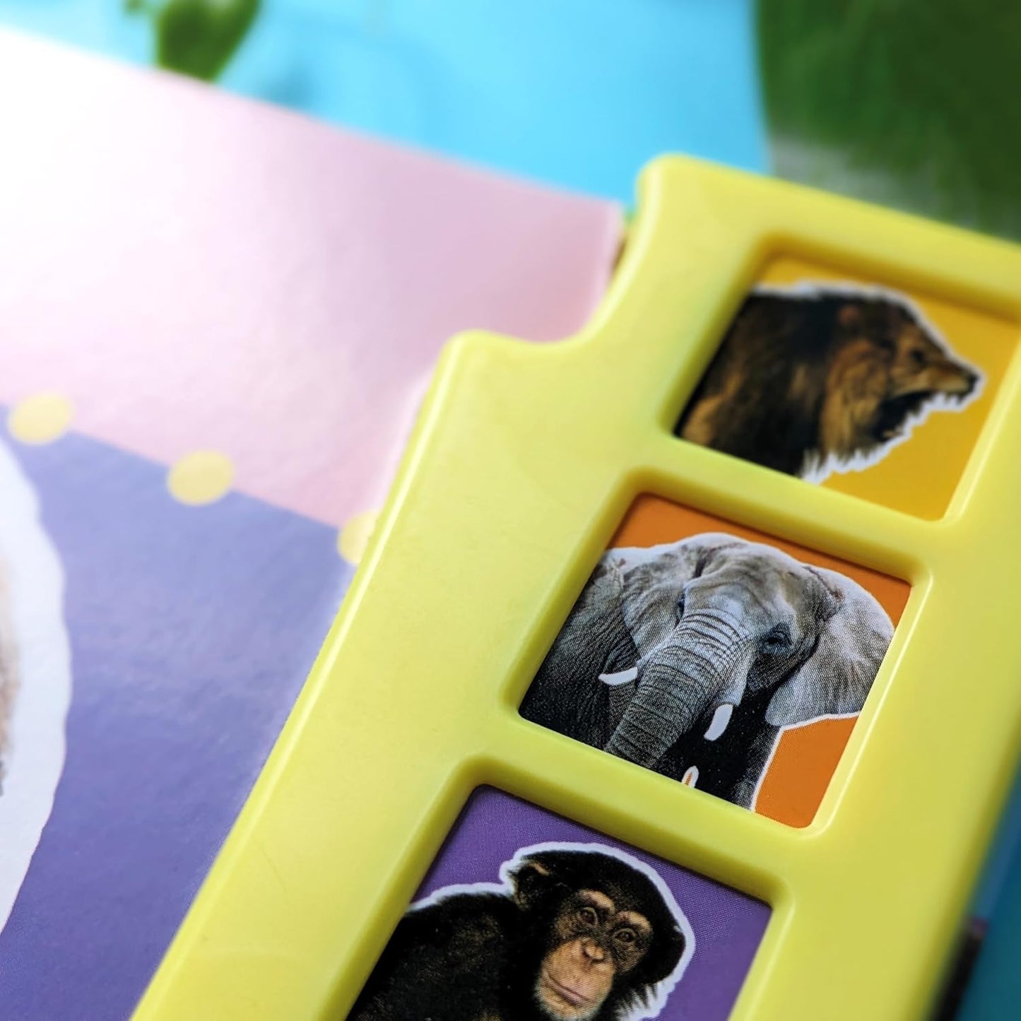 In the Wild an Animal Sounds Books - Shree Books