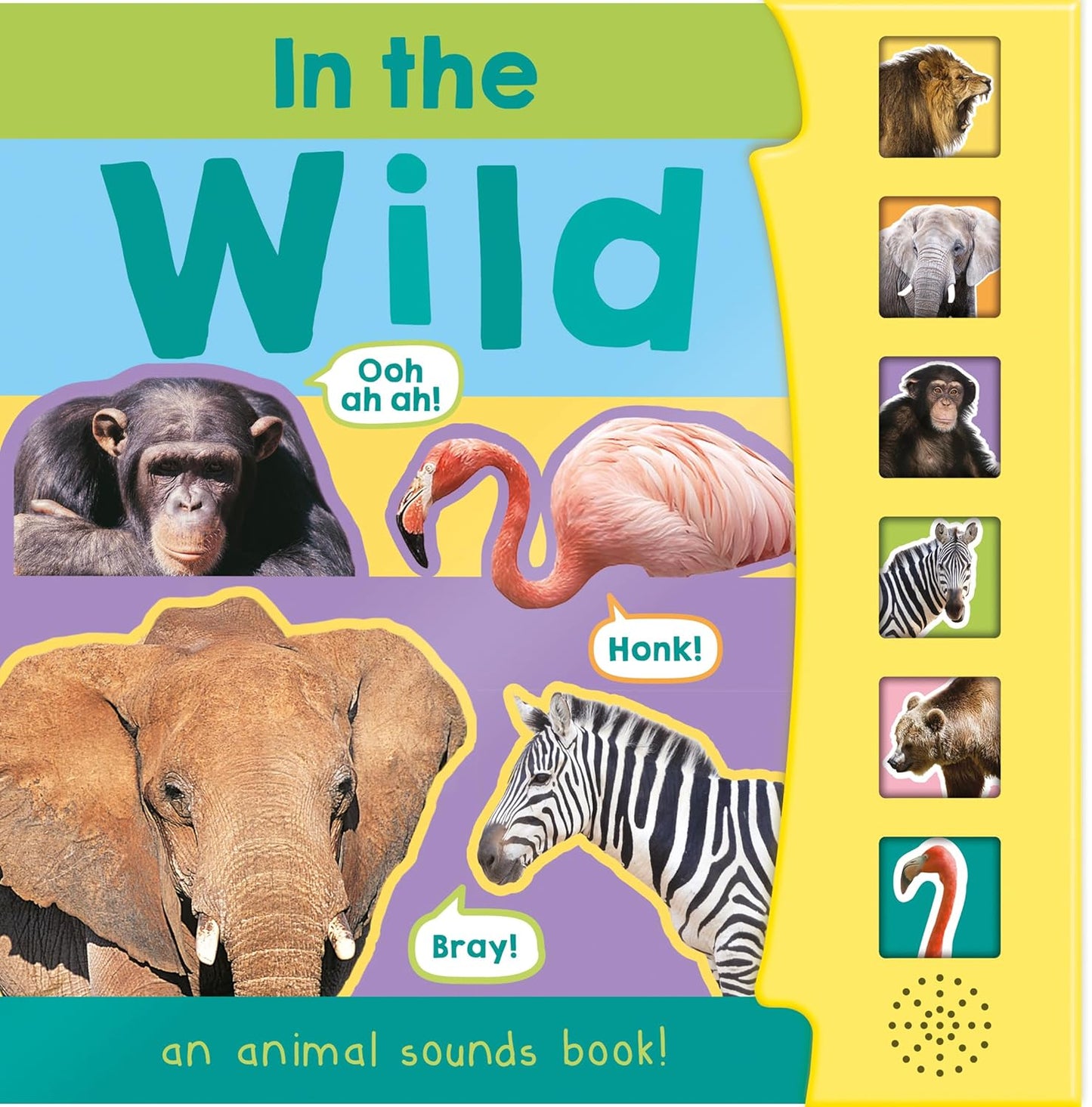 In the Wild an Animal Sounds Books - Shree Books