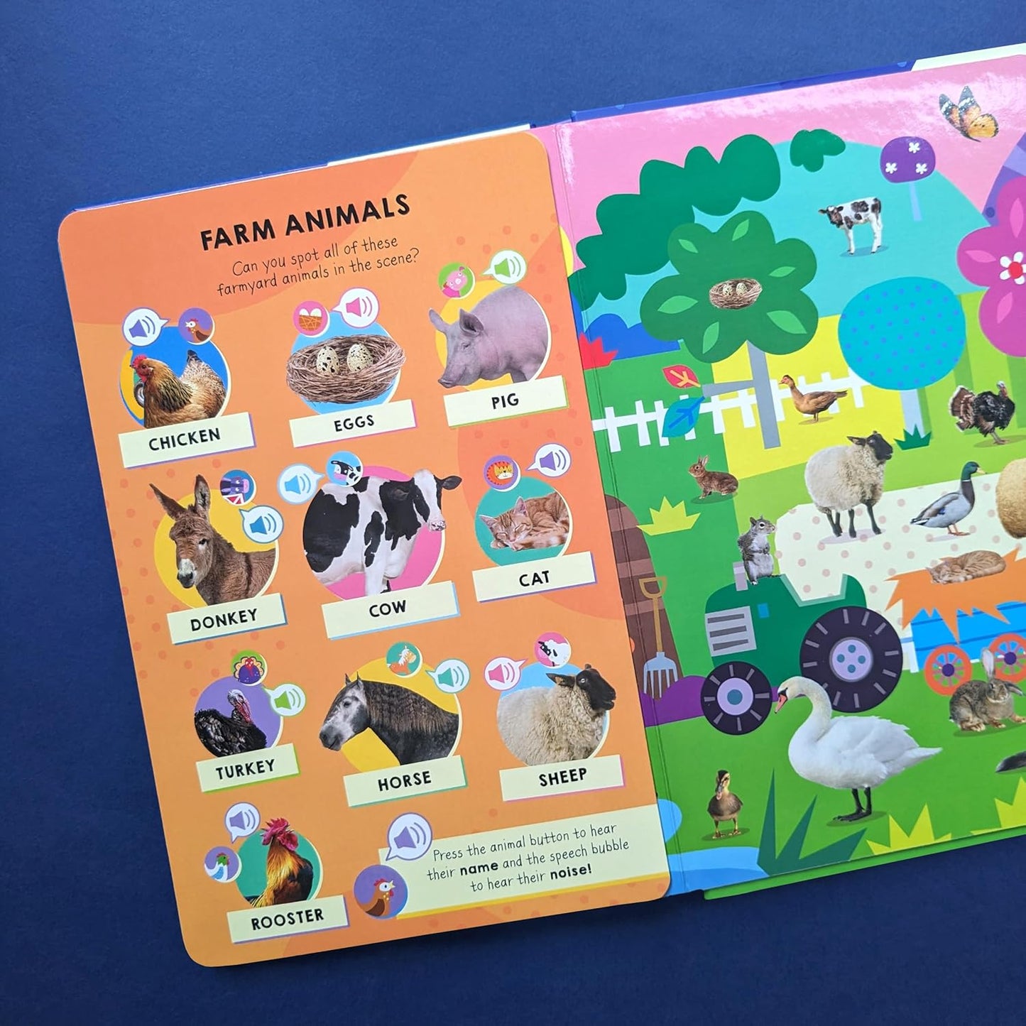 Shree Books - 100 Button Look and Find Animal words and sounds