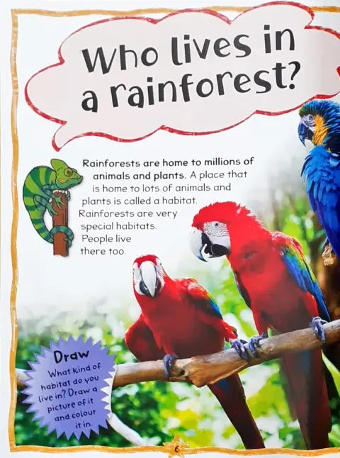 QUESTIONS&ANSWERS ANIMALS