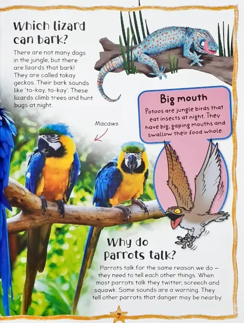 QUESTIONS&ANSWERS ANIMALS