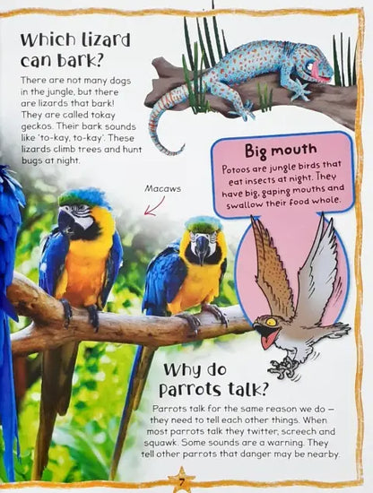 QUESTIONS&ANSWERS ANIMALS